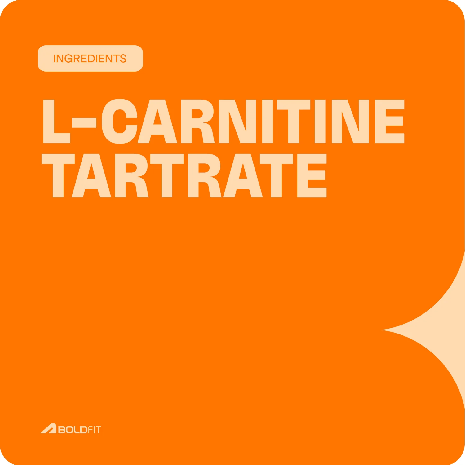 Effervescent L-Carnitine Tablets - Image 8